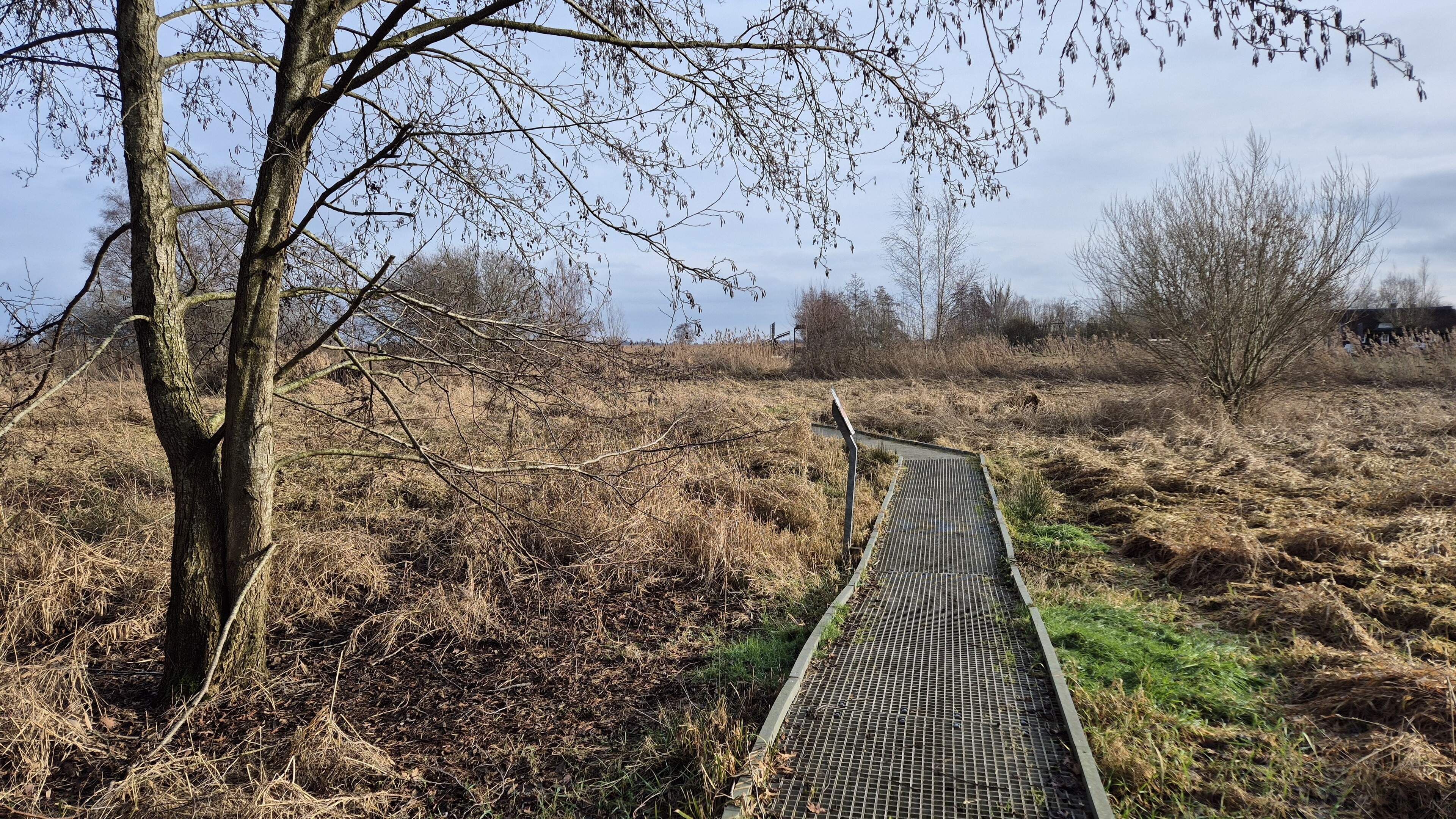 ’Natuurbeheer Weerribben-Wieden wordt een steeds grotere uitdaging’
