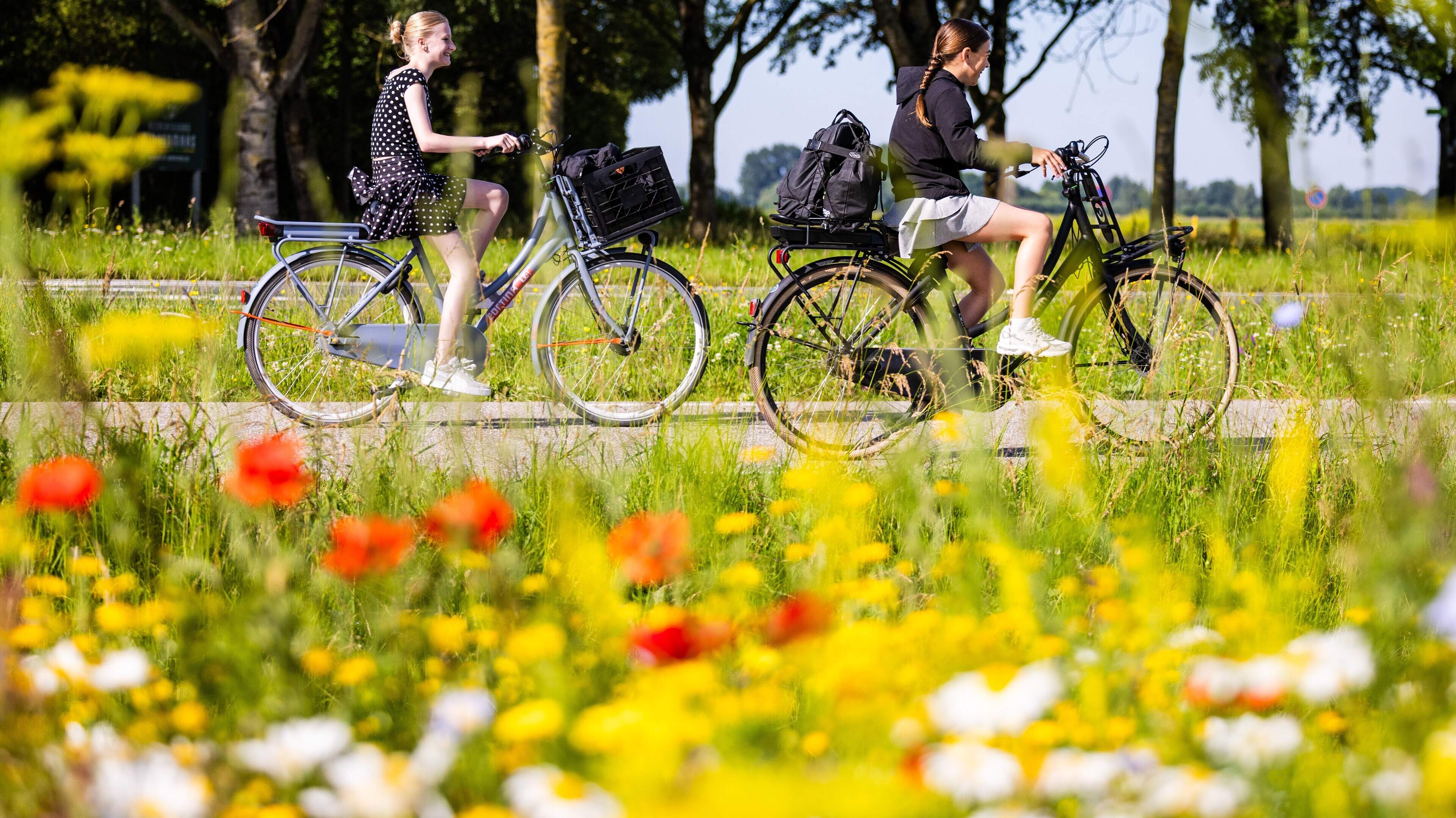 ’Maak van Steenwijkerland dé fietsgemeente van Nederland’