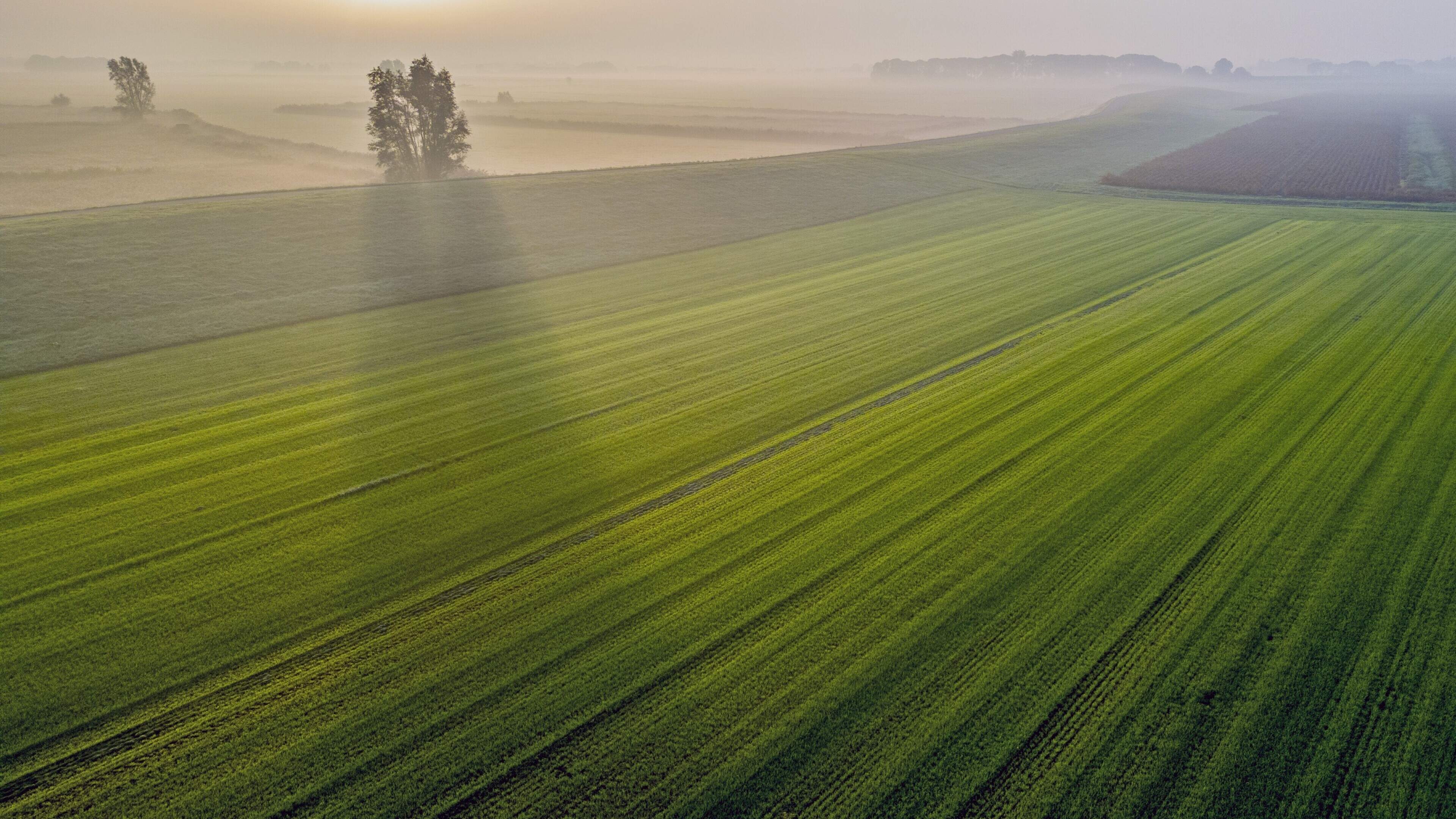 Koplopersproject Baarlingerpolder bij Blokzijl loopt averij op. ’Het lijkt wel trekken aan een dood 