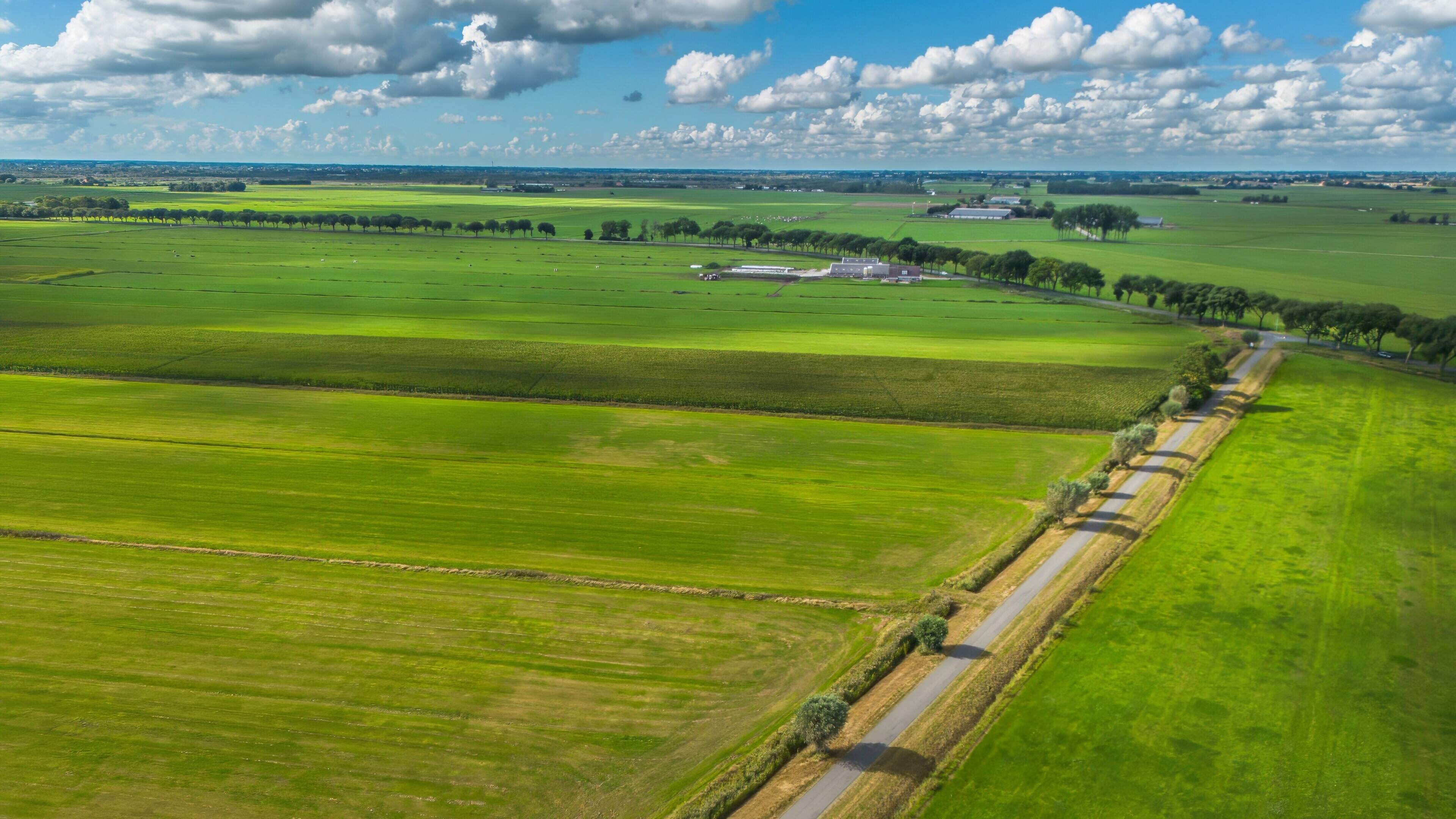 Windmolenplan Oldemarkt lijkt van de baan